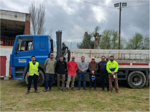 Interven&ccedil;&atilde;o &Aacute;rvore na Pra&ccedil;a de Touros
