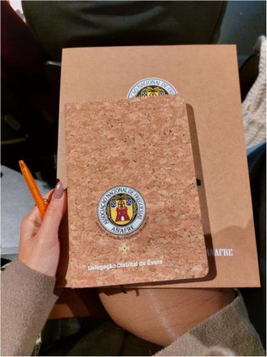 FORMA&Ccedil;&Atilde;O JUR&Iacute;DICA ANAFRE